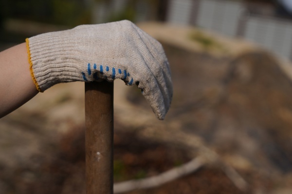 Более 800 человек вышли на Всероссийский субботник в Рязани