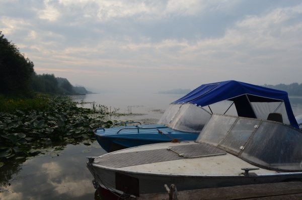 В Кораблинском округе утонула женщина 