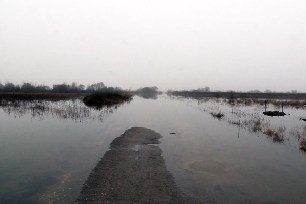 В Борках и Кадоме вода ушла с подтопленных участков