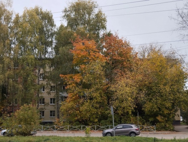 В среду в регионе ожидается теплый день без дождя