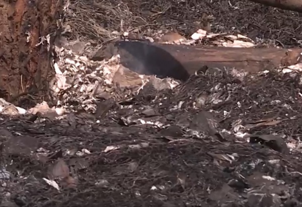 Пожилой мужчина погиб на пожаре в Пронском районе