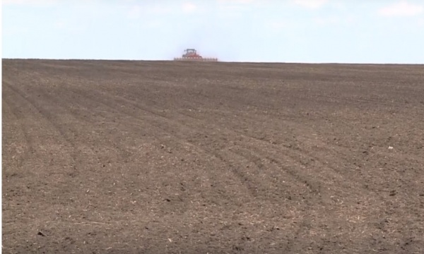 В 2022 году в сельхозоборот возвращено более 20 тысяч гектаров ранее заброшенных земель