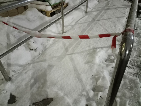 Выставку ледяных скульптур в Рязани временно закроют