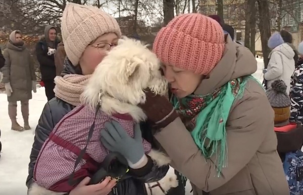 В Рязани прошел фестиваль вест-хайлент-уайт-терьеров 