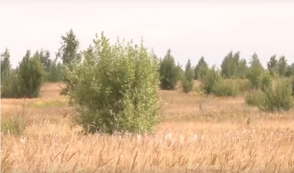 От уплаты земельного налога освобождаются мобилизованные рязанцы
