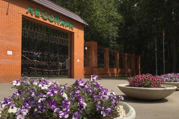 Сотрудники Лесопарка представят регион в федеральном мероприятии