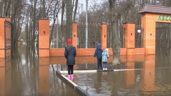 Центр уличного спорта «Под мостом» временно закрыли из-за подтопления