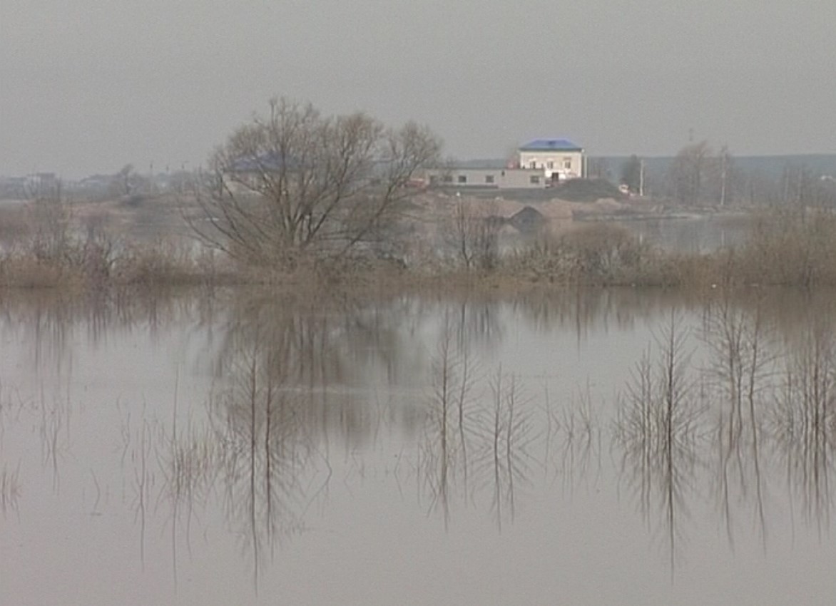 Уровень оки