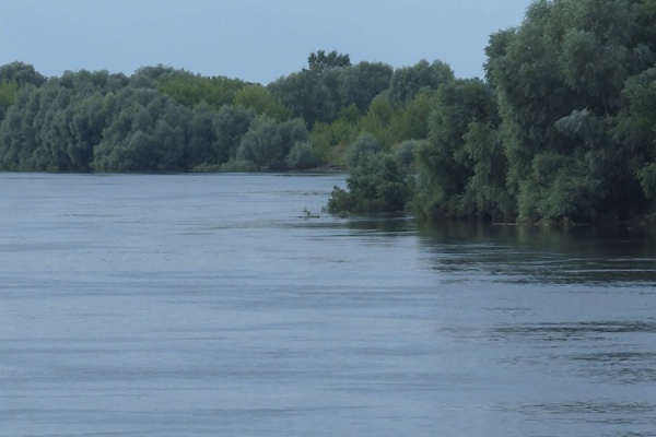 Уровень воды в Оке в черте Рязани приближается к 6 метрам