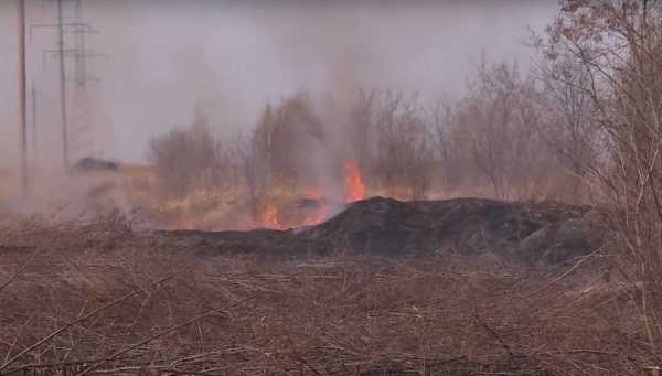 В регионе введут запрет на вход и въезд в лесные массивы