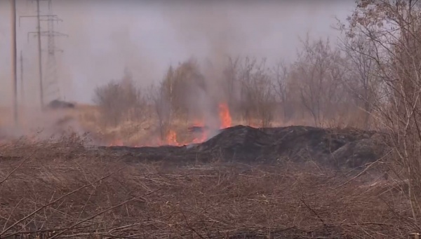 В регионе введут запрет на вход и въезд в лесные массивы 