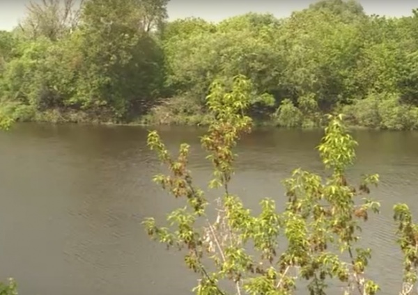 В русле реки Солотча запретили купание и движение водного транспорта