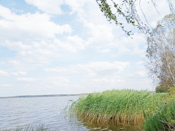 Прогноз погоды на понедельник: жара отступает