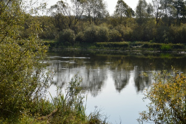 В водоеме Захаровского района утонул ребенок