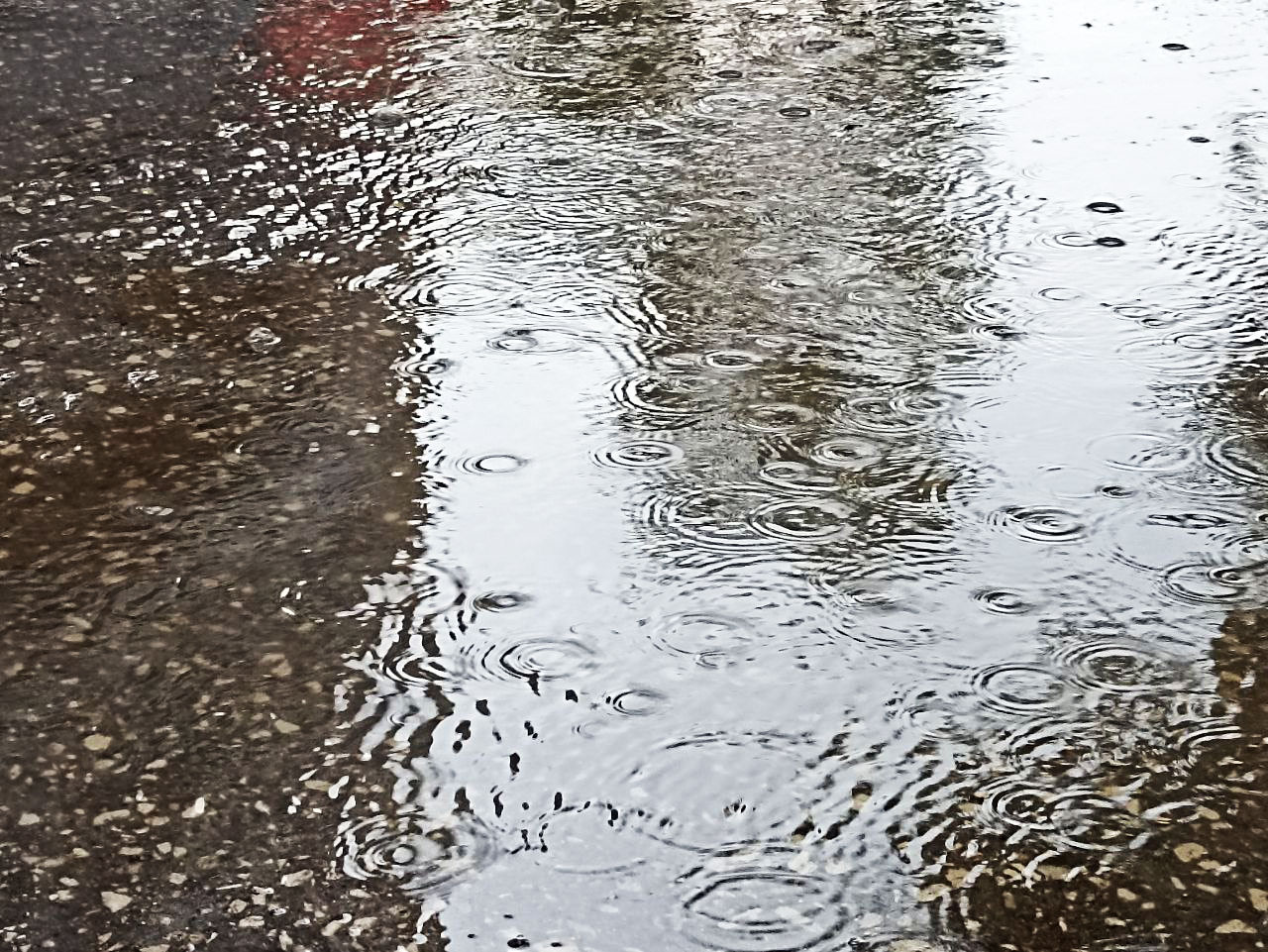 Август дождь. Дождик в июне. Дождь в Рязани. После короткого дождя дорожки.
