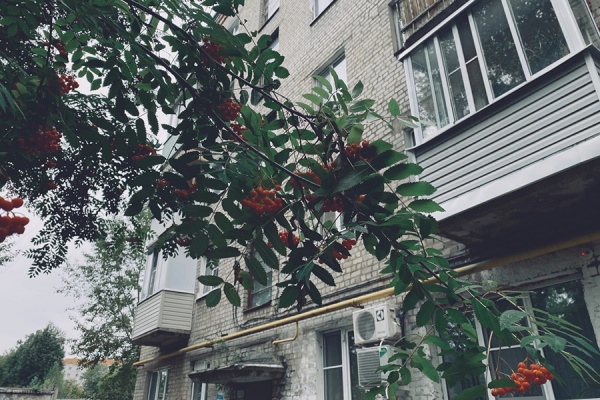 В Рязанской области завтра ожидается +27°С