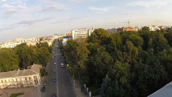 В Рязани уничтожают аварийные деревья