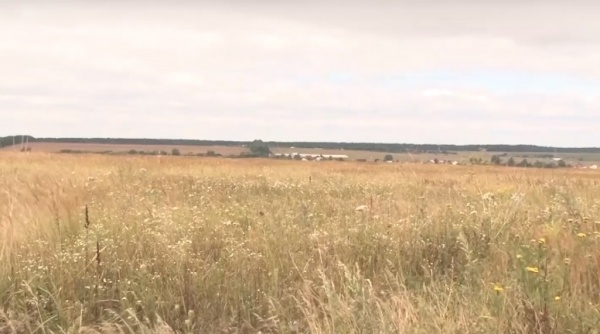 Участникам СВО хотят дать право на бесплатное получение земли