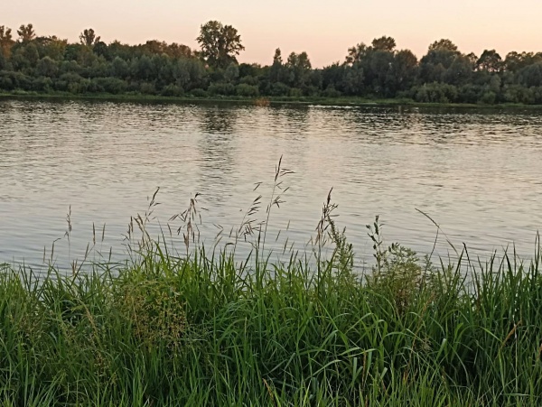 До +28°С ожидается завтра в регионе