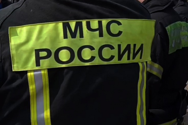 65-летний мужчина погиб на пожаре в Сапожковском районе