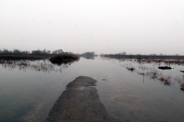 Уровень воды в Оке в черте Рязани повысился на 54 см
