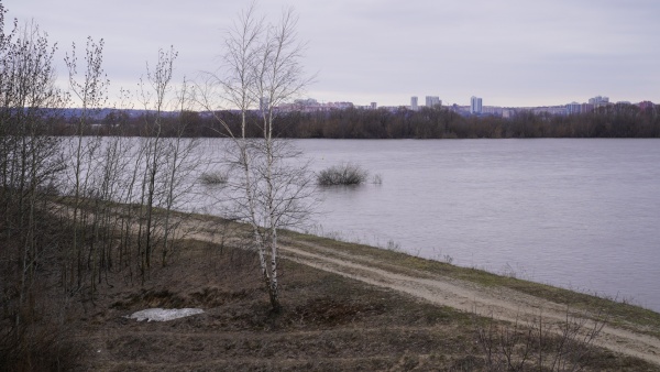 В Старожиловском районе у села Бутырки низководный мост освободился от воды 