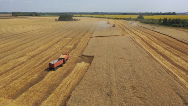 Аграрии Рязанской области намолотили 1,5 миллиона тонн зерна