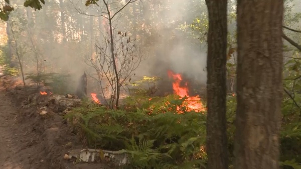 Борьба с природными пожарами в Рязанской области ведется в круглосуточном режиме