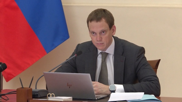 Павел Малков доложил Президенту РФ о ситуации с лесными пожарами в регионе