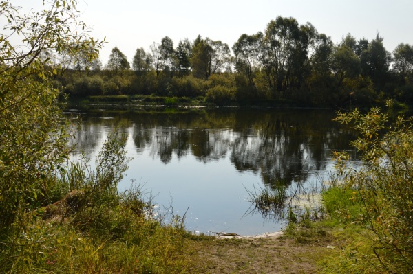 Отдых у воды: где можно купаться в Рязанском районе