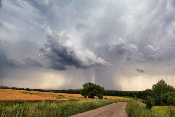 Завтра в Рязанской области ожидается дождь и гроза 