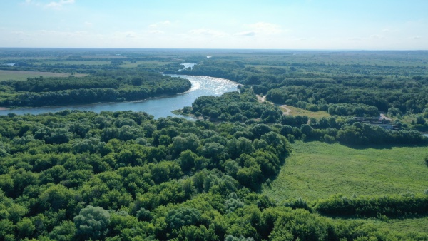 Патрулирование лесов Рязанской области проходит в усиленном режиме