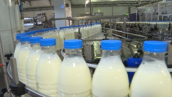За год в хозяйствах области произведено молока на 18 миллиардов рублей