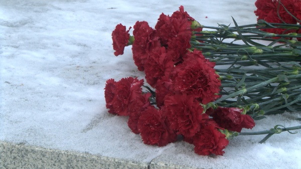 Павел Малков возложил цветы к Вечному огню