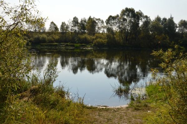 В Рязани в озере Семченское утонул мужчина