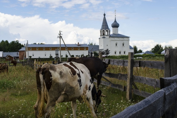 В Рязанской области семейные фермы получат гранты на развитие в 17 млн. рублей