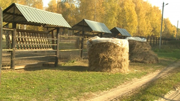 В регионе еще пять семейных ферм получат гранты на развитие
