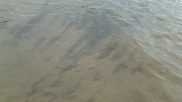 В селе Исады в постоянную эксплуатацию водовод запустят к 31 июля